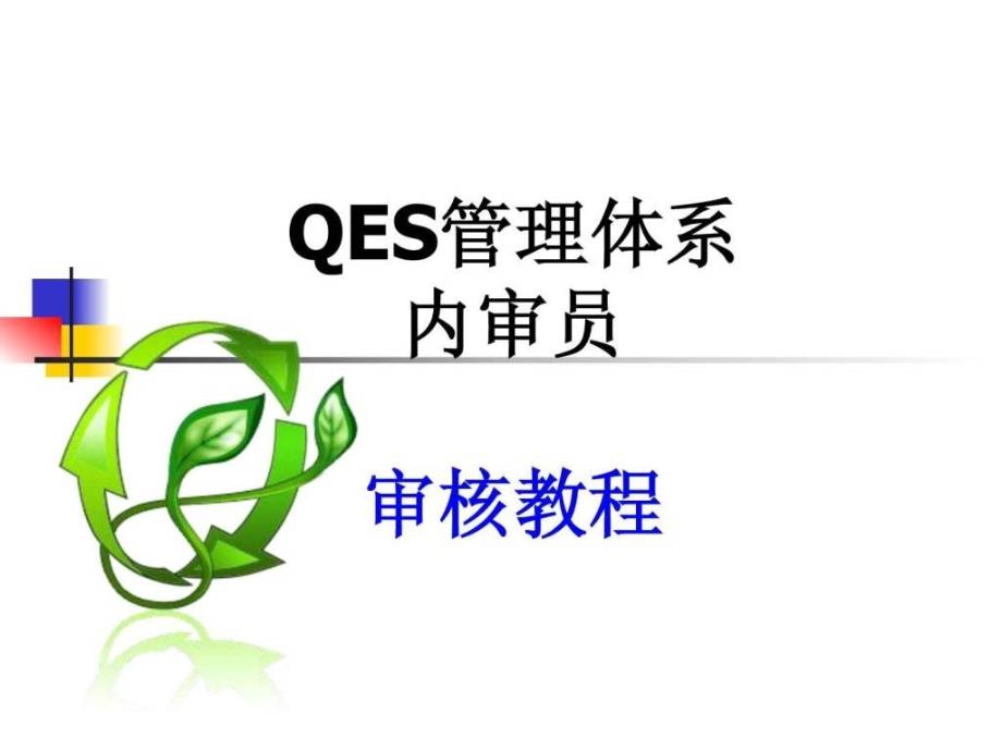 qs三体系审核培训_第1页