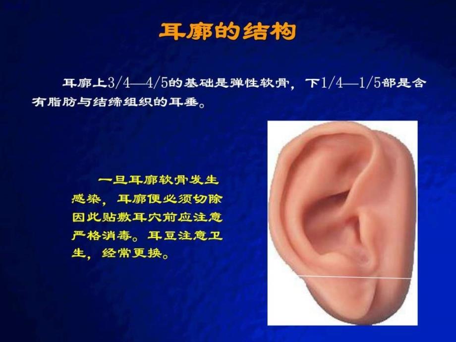 耳穴快速记忆法、定位法及各种操作方法.ppt_第2页