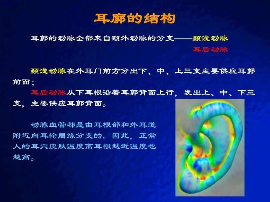 耳穴快速记忆法、定位法及各种操作方法.ppt_第3页