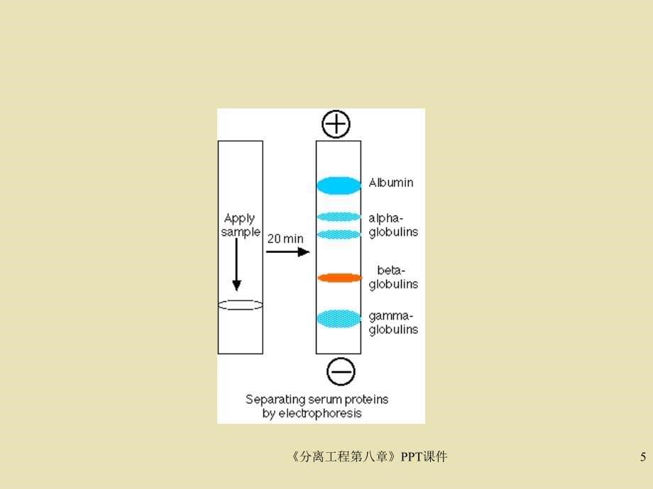 分离工程第八章PPT_第5页