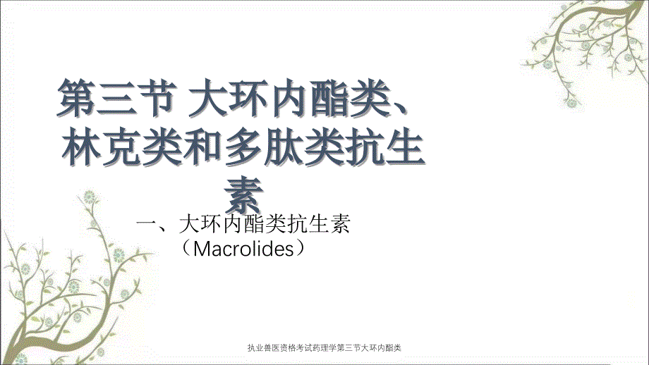 执业兽医资格考试药理学第三节大环内酯类_第1页