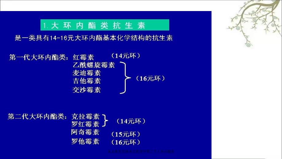 执业兽医资格考试药理学第三节大环内酯类_第3页