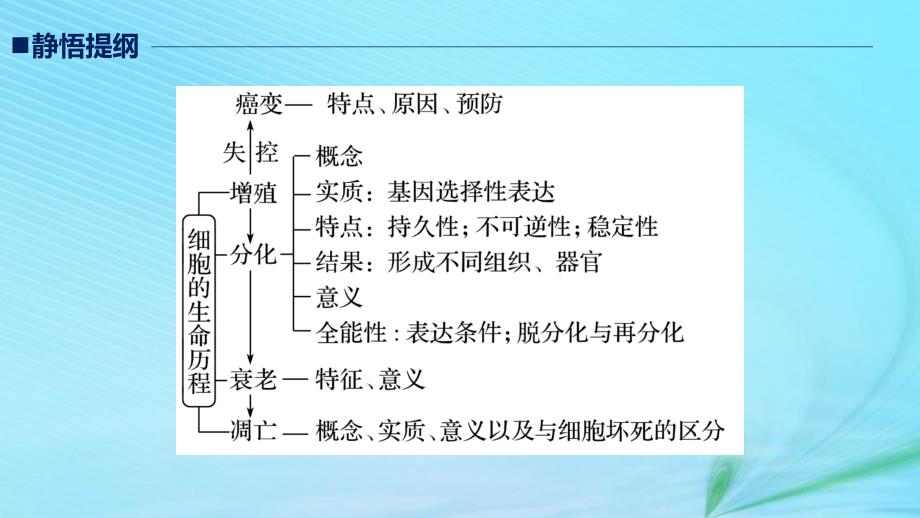 （江苏专用）高考生物二轮复习 专题三 细胞的生命历程 考点11 细胞的分化、衰老、凋亡和癌变课件_第2页