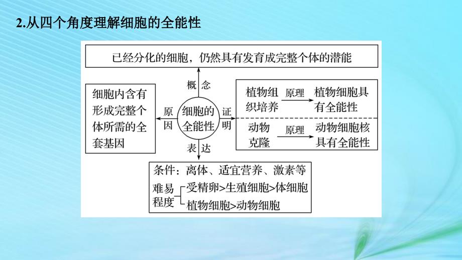 （江苏专用）高考生物二轮复习 专题三 细胞的生命历程 考点11 细胞的分化、衰老、凋亡和癌变课件_第4页