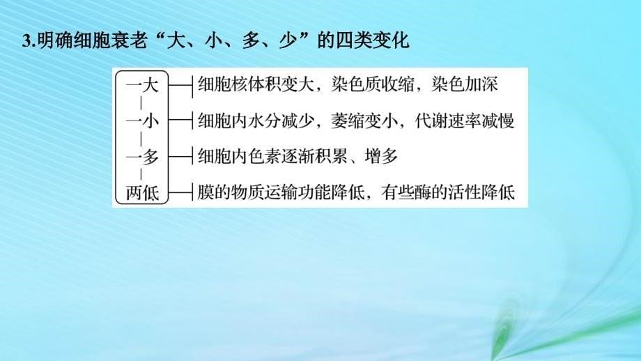 （江苏专用）高考生物二轮复习 专题三 细胞的生命历程 考点11 细胞的分化、衰老、凋亡和癌变课件_第5页