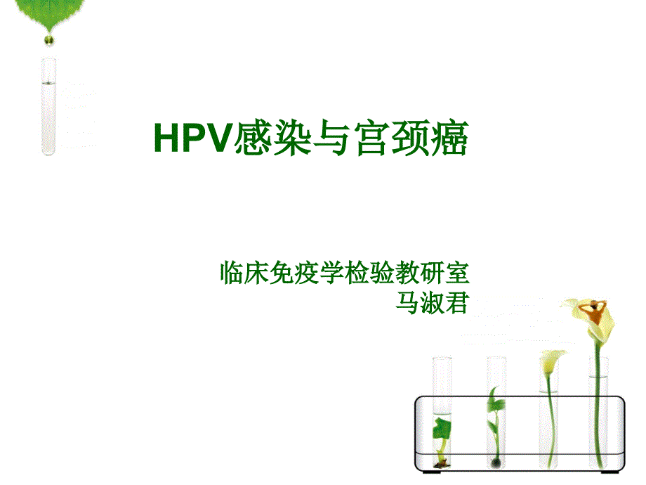 HPV感染与宫颈癌.ppt_第1页