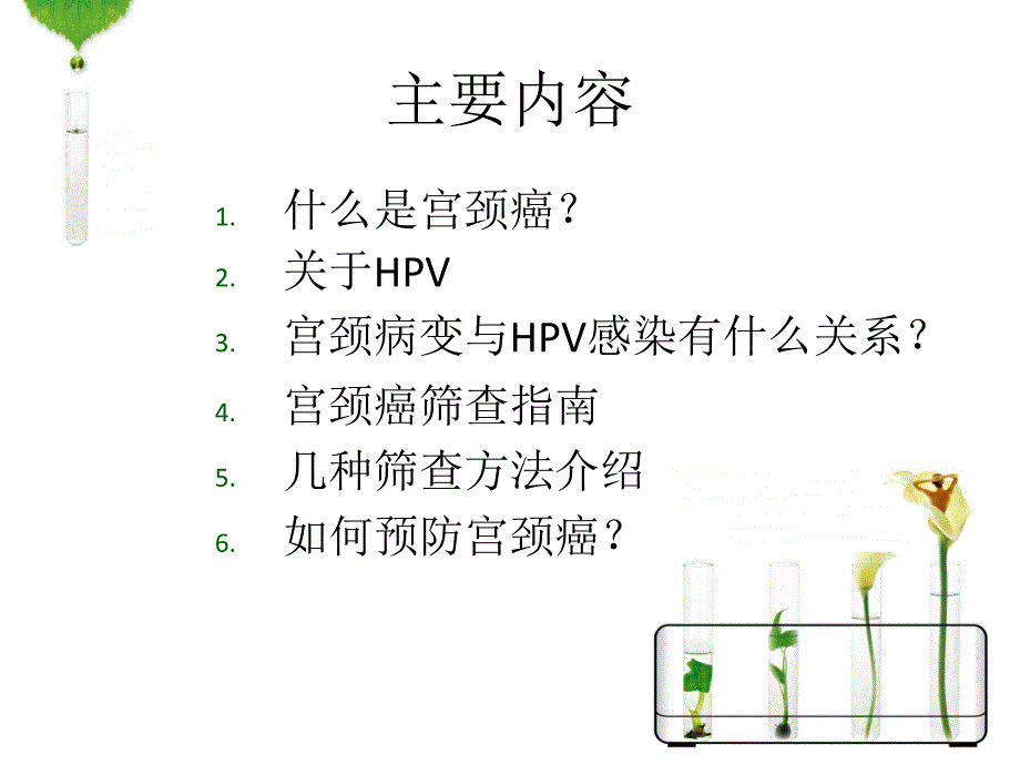 HPV感染与宫颈癌.ppt_第3页