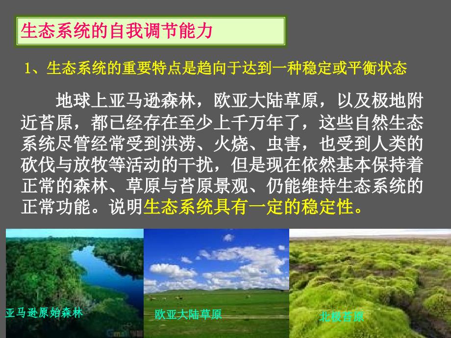 355生物必修3课堂教学课件—生态系统的稳定性_第3页