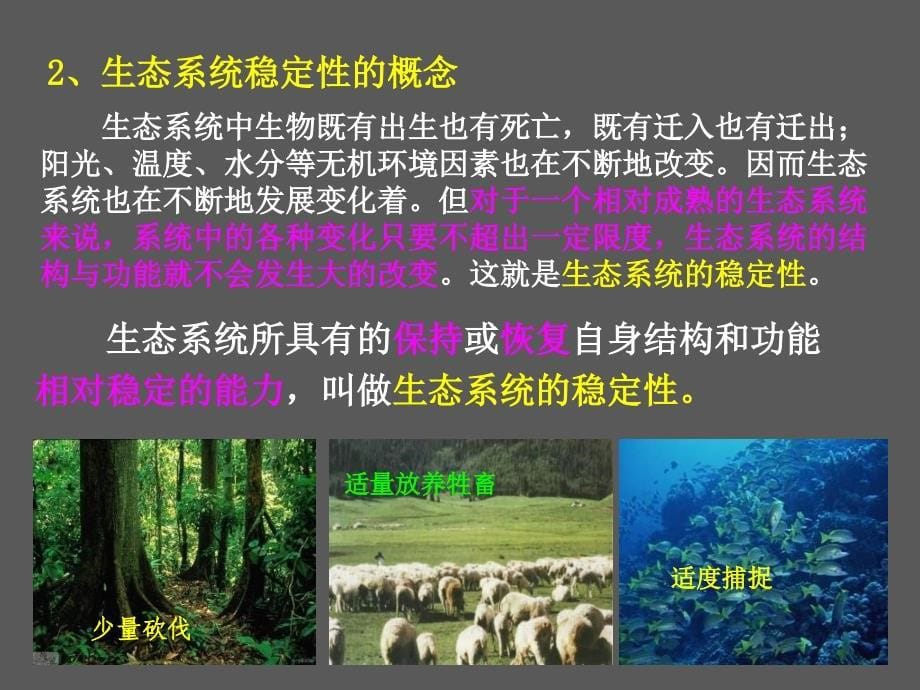 355生物必修3课堂教学课件—生态系统的稳定性_第5页