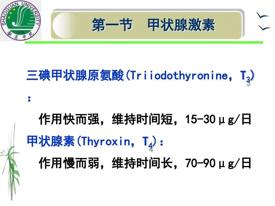 甲状腺激素与抗甲状腺药_第5页