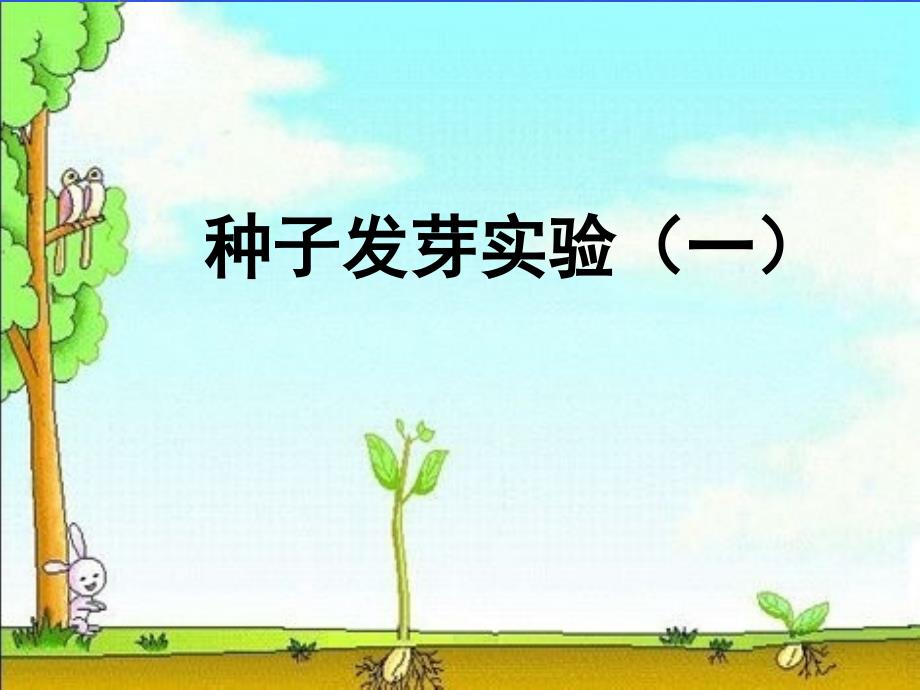 教科版科学五上《种子发芽实验(一)》PPT课件3.ppt_第1页