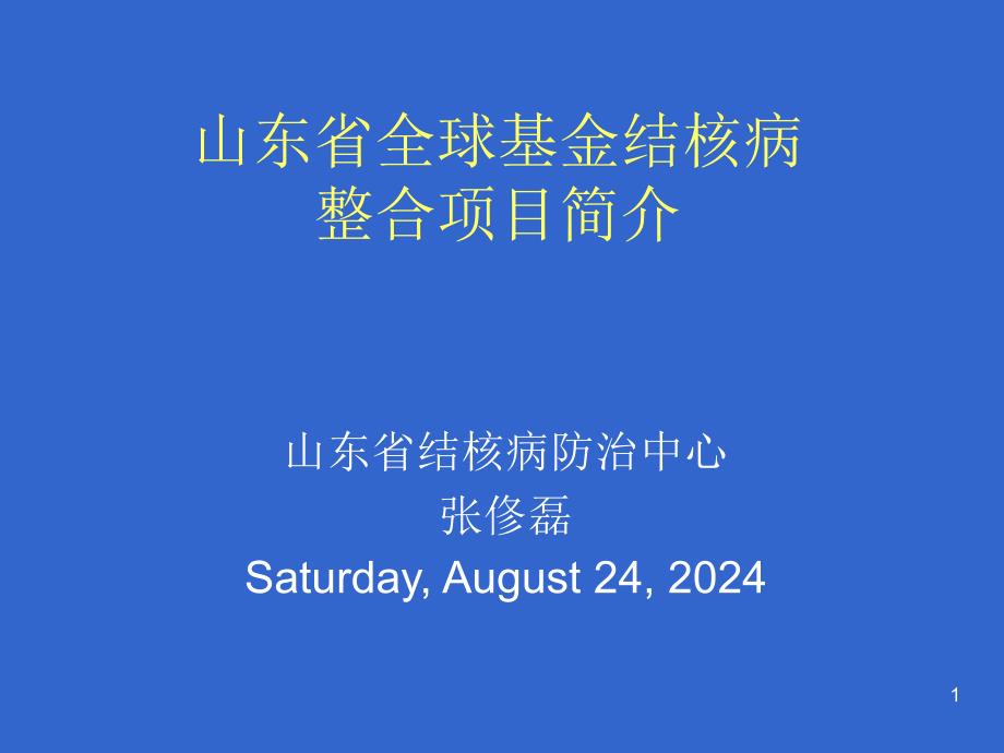 山东省全球基金结核病项目简介_第1页