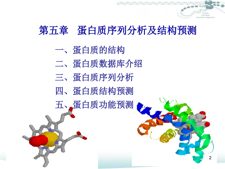 蛋白质序列分析及结构预测课堂PPT_第2页