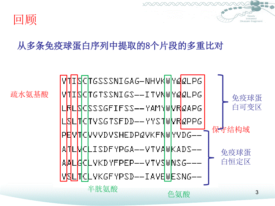 蛋白质序列分析及结构预测课堂PPT_第3页