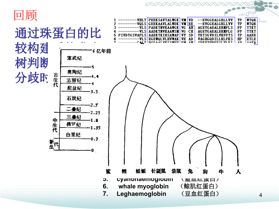 蛋白质序列分析及结构预测课堂PPT_第4页