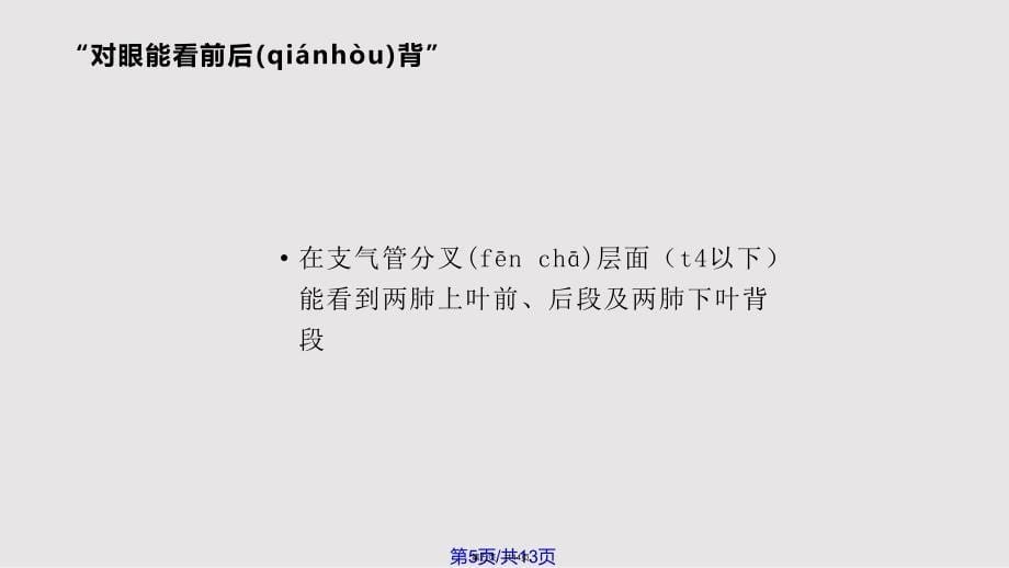 CT肺段定位口诀实用教案_第5页