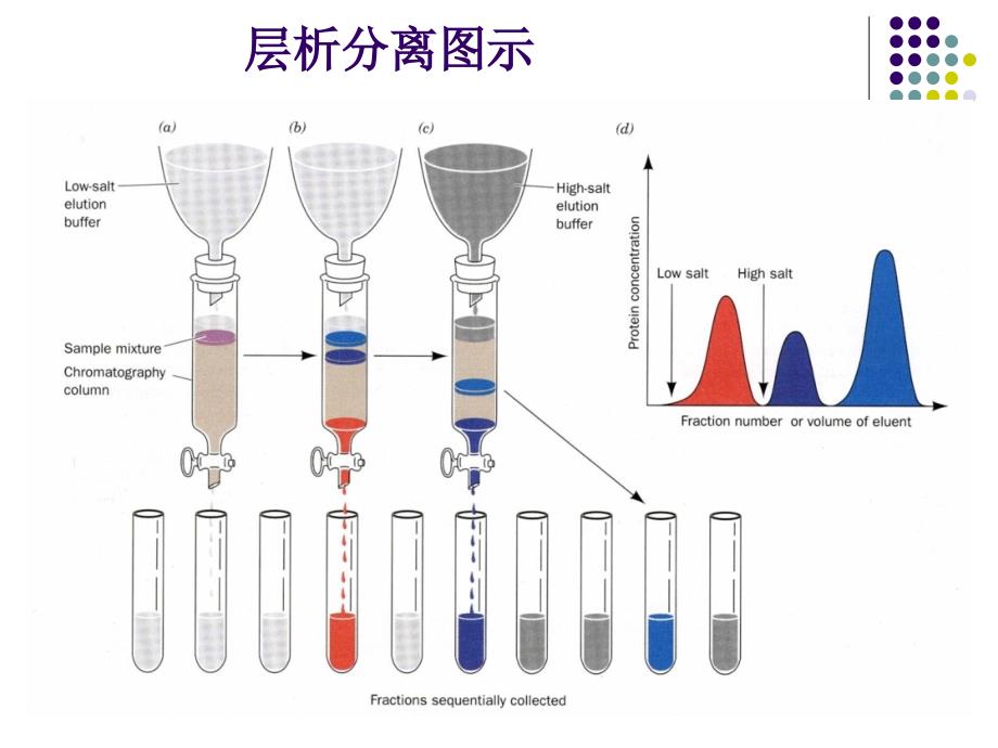 第6章色分离法_第4页