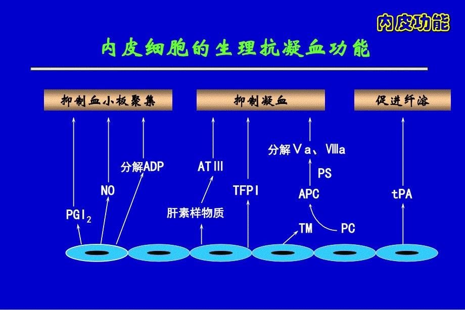 曲巍-血液透析的抗凝治疗_第5页