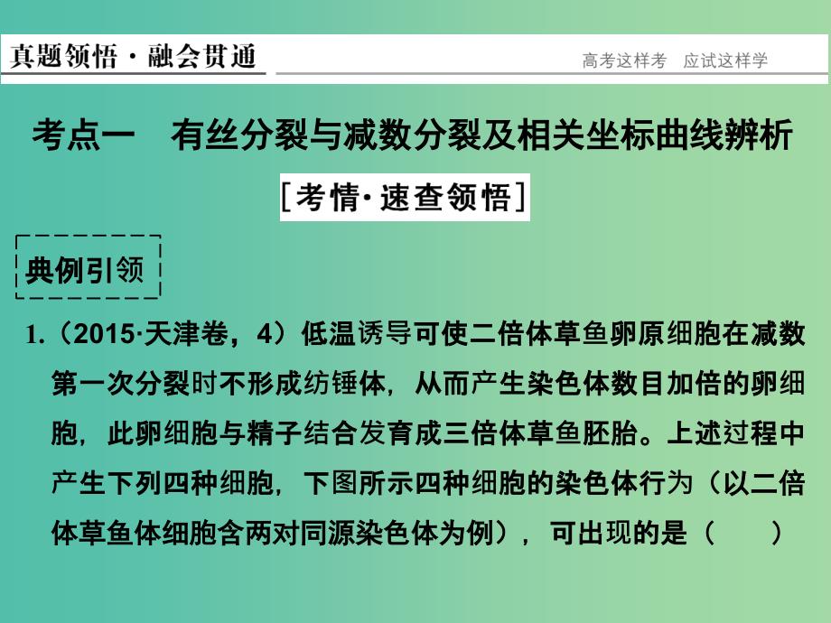 高考生物二轮复习 第一单元 专题三 细胞的生命历程（含减数分裂）课件.ppt_第3页