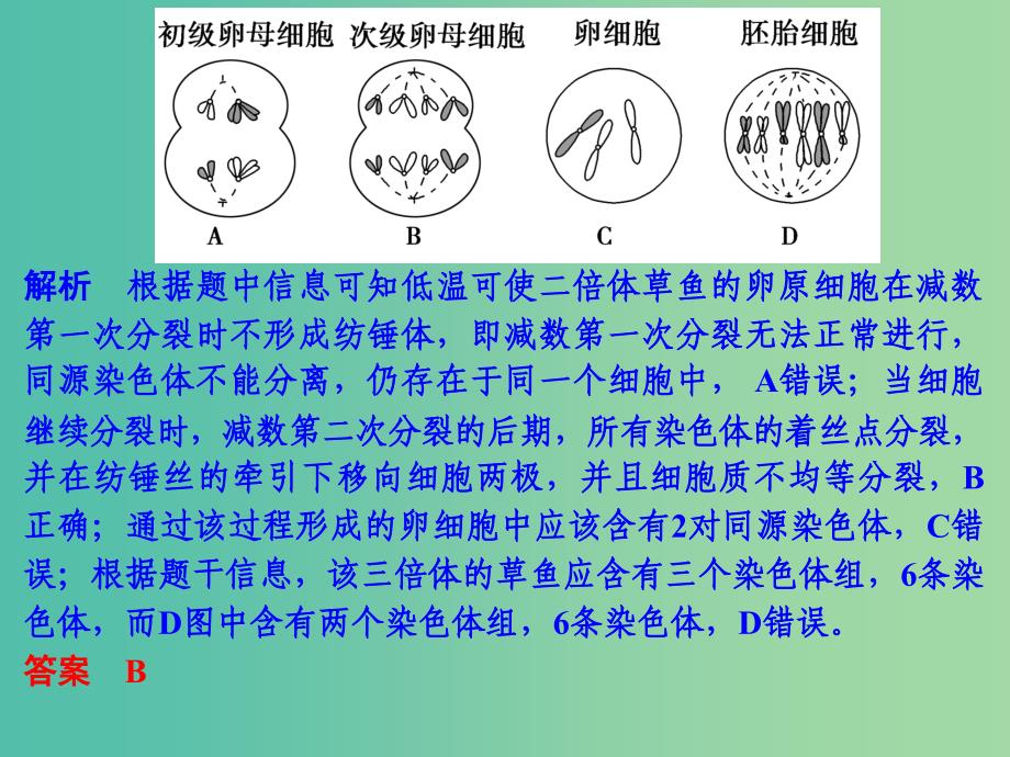 高考生物二轮复习 第一单元 专题三 细胞的生命历程（含减数分裂）课件.ppt_第4页