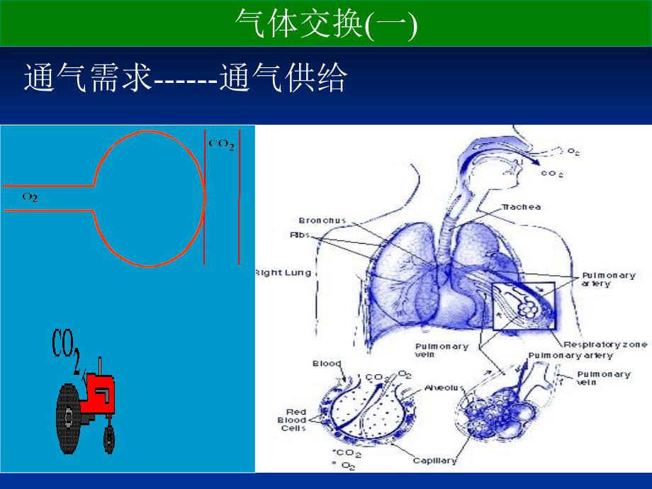 护理培训讲座演示PPT_第4页