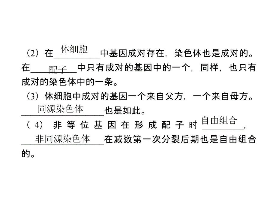 人教版教学课件生物高考一轮复习课件：必修2 第2章 第2,3节 基因在染色体上和伴性遗传ppt_第4页