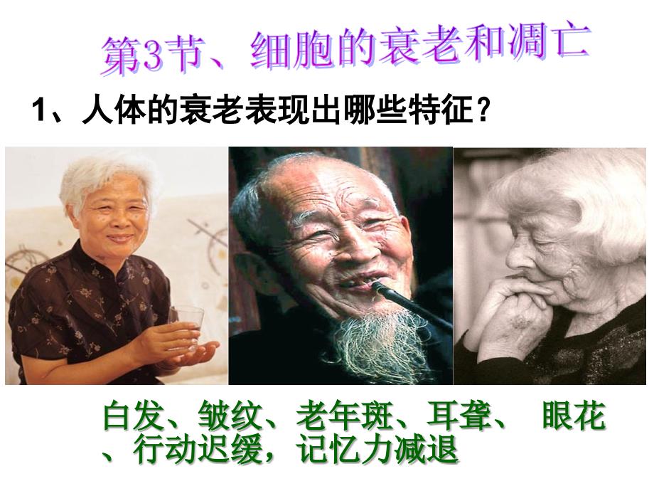 细胞的衰老与凋亡(课堂).ppt_第2页