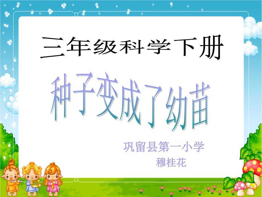 种子变成了幼苗课件-母桂花_第1页