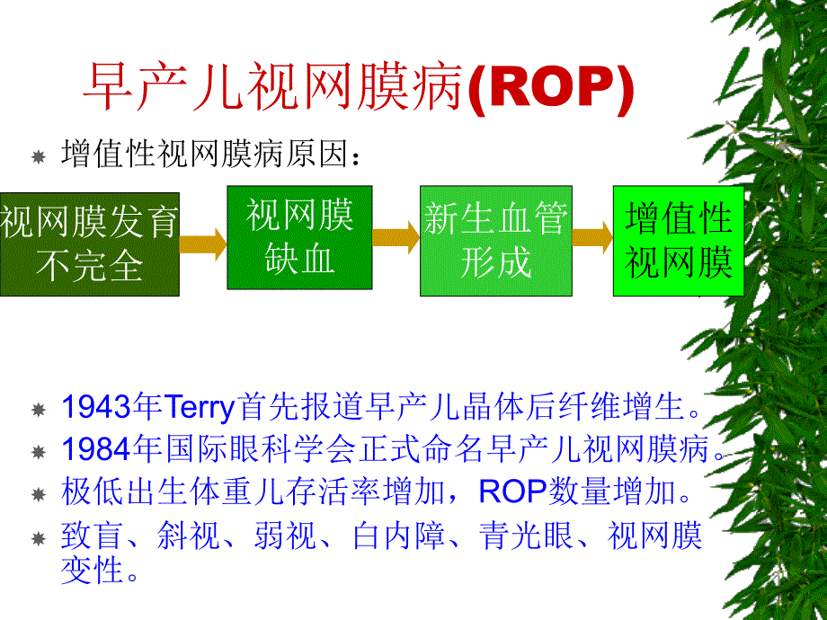 早产儿视网膜病_第2页