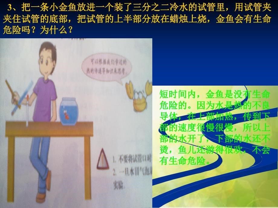 苏教小学科学六下《6.1拓展与应用》PPT课件_第5页