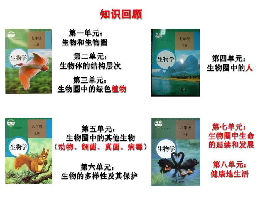 课件植物的生殖_第1页