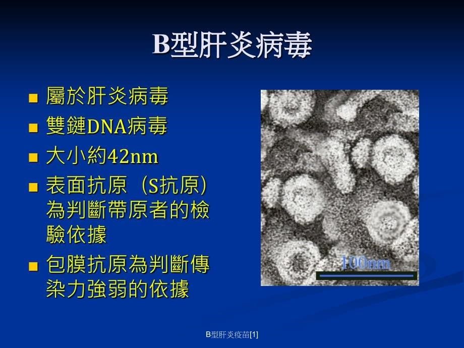 B型肝炎疫苗[1]_第5页