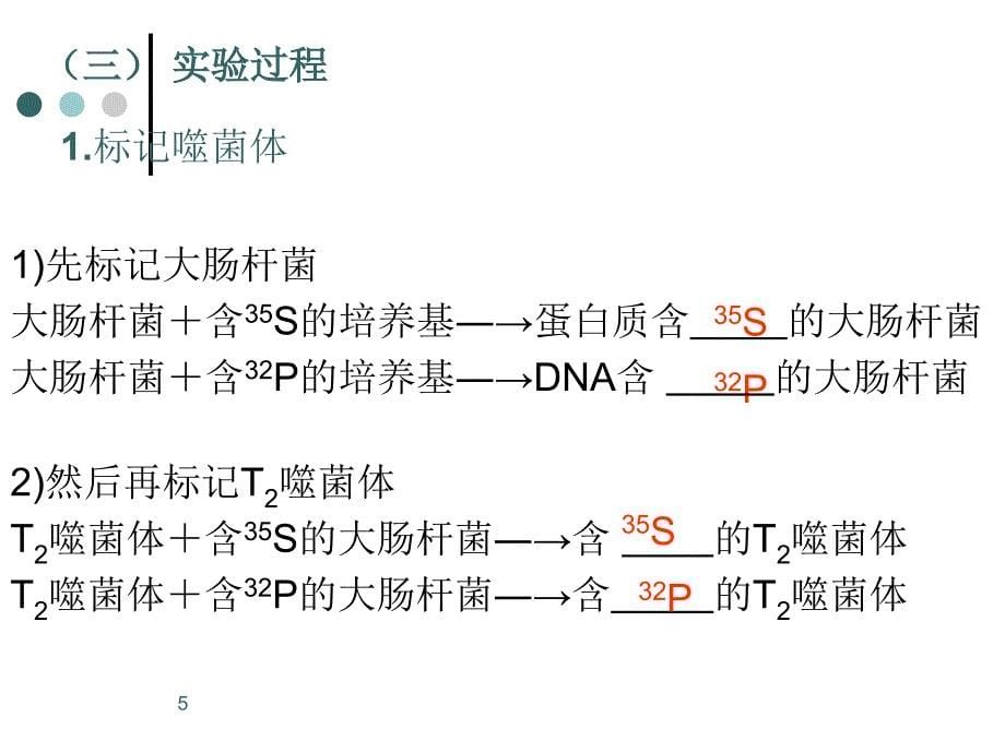 噬菌体侵染细菌的实验优秀课件_第5页