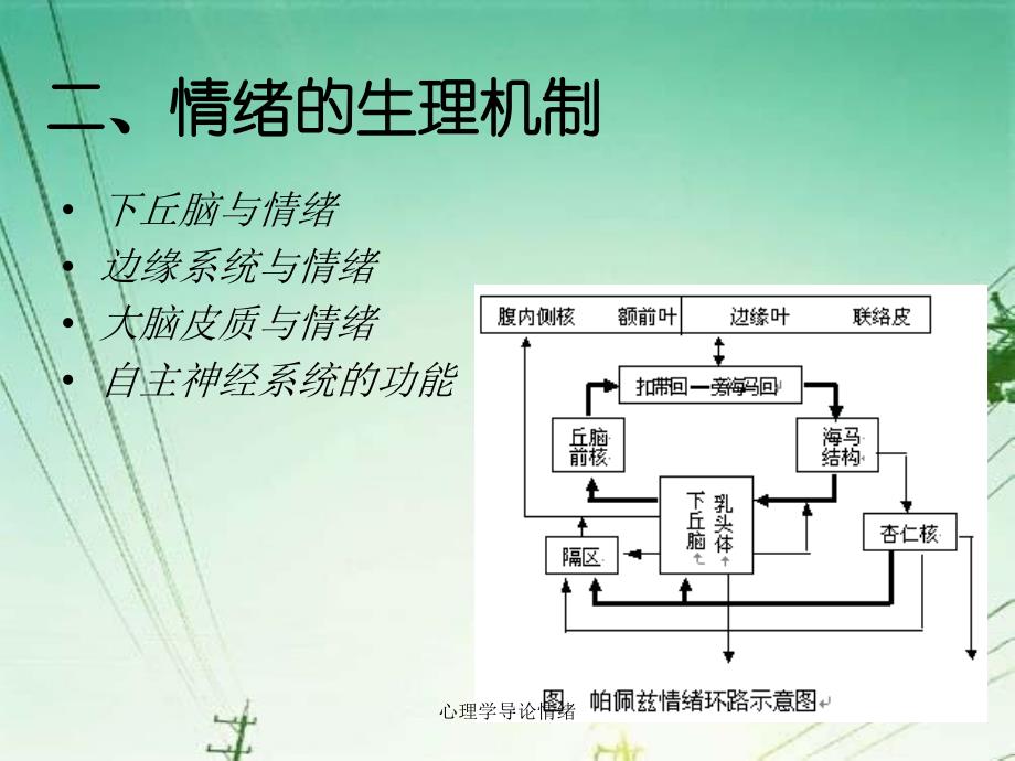 心理学导论情绪课件_第4页