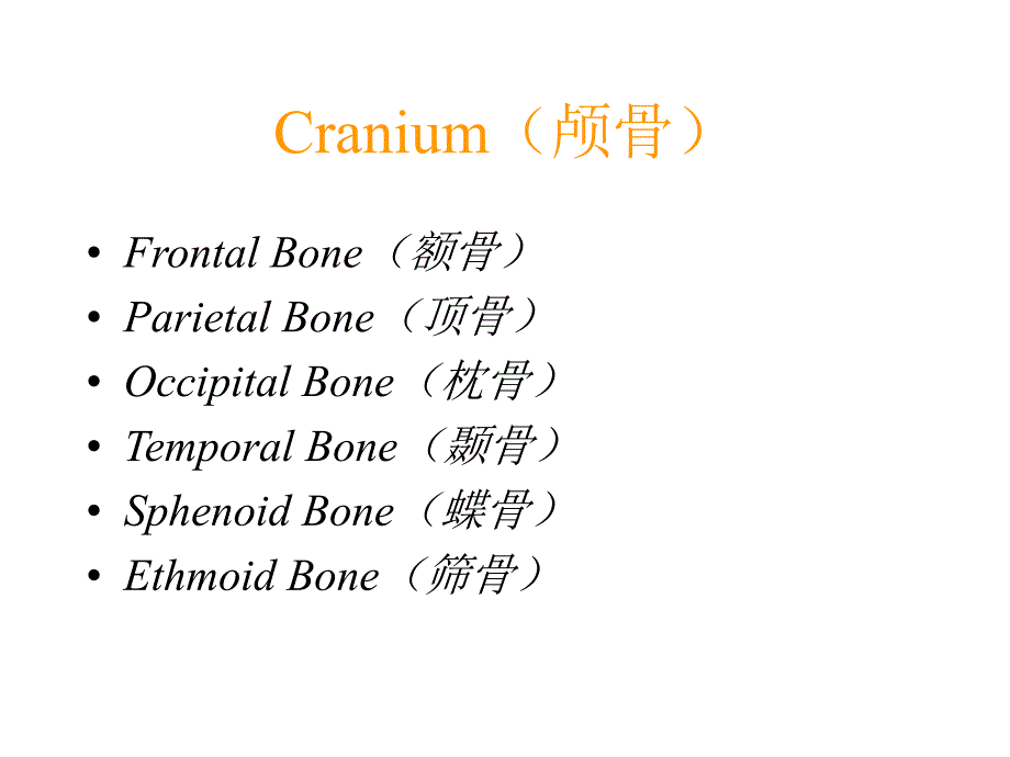 人体骨骼系统_第3页