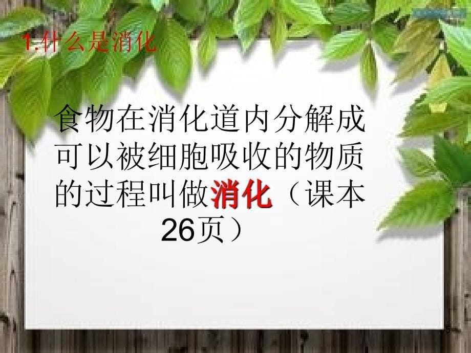 新人教版七年级下册生物消化和吸收ppt课件_第5页