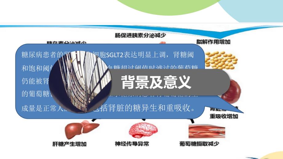 SGLT2抑制剂临床应用_第3页