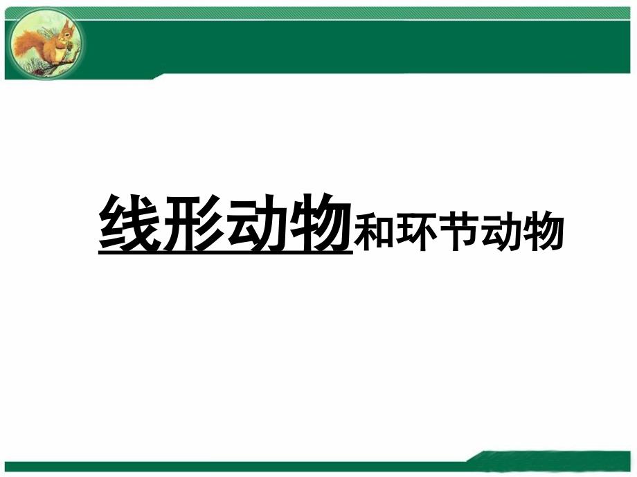 正常新生儿护理PPT演示课件_第1页