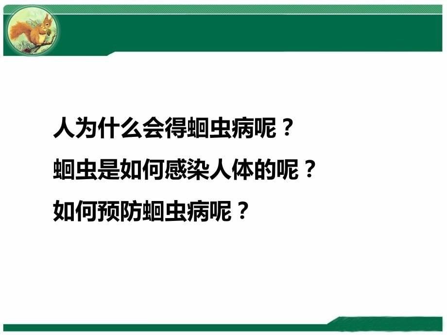 正常新生儿护理PPT演示课件_第5页