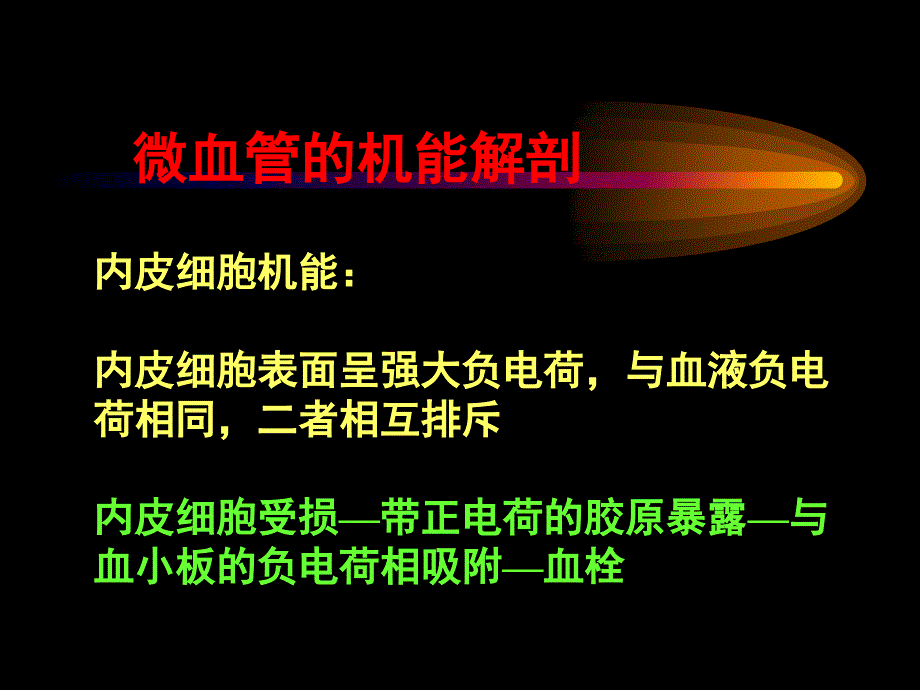 显微外科学习班_第4页