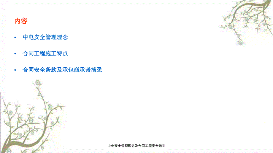 中电安全管理理念及合同工程安全培训PPT课件_第2页