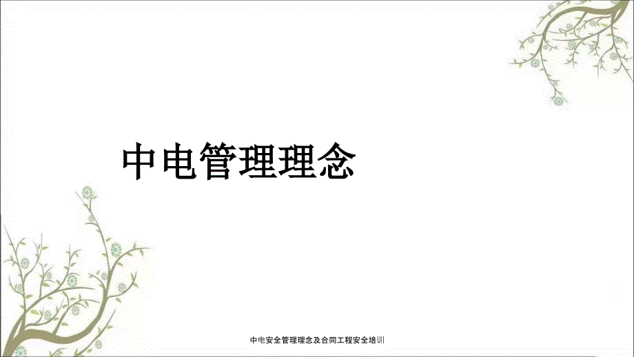 中电安全管理理念及合同工程安全培训PPT课件_第3页