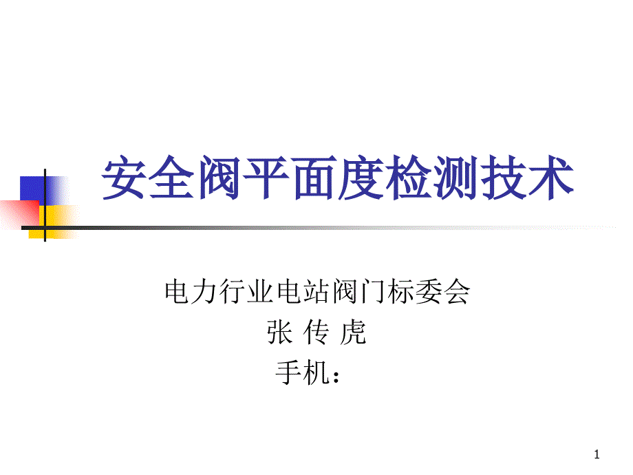 电站安全阀平面度检测技术_第1页