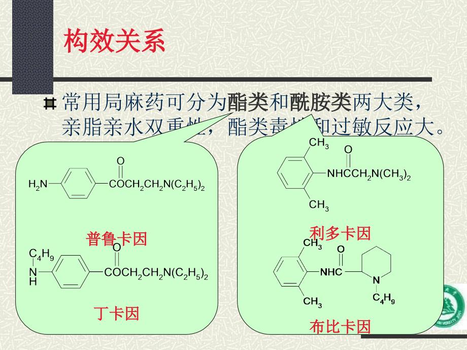 局部麻醉药.ppt_第3页