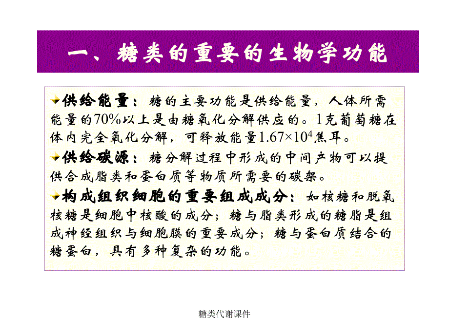 糖类代谢课件_第4页