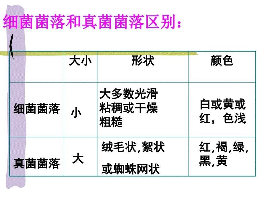 八年级第四章细菌和真菌_第5页