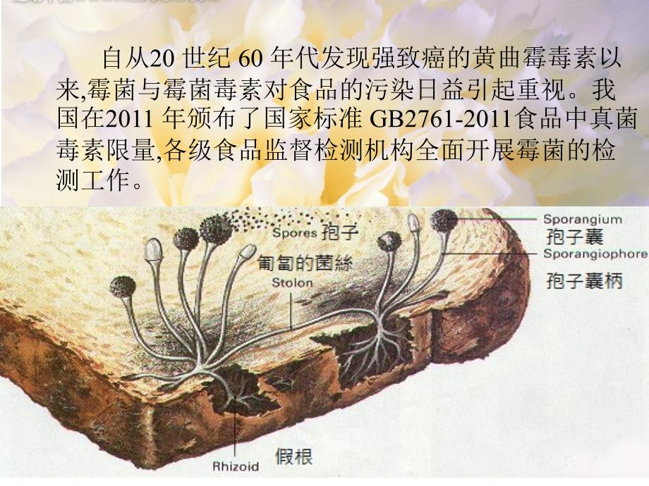 霉菌和毒素的检测方法_第4页