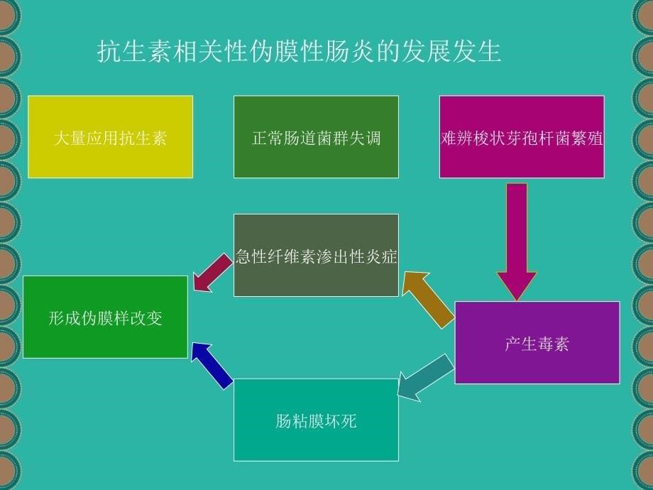 抗生素相关性艰难梭菌伪膜性肠炎_第5页