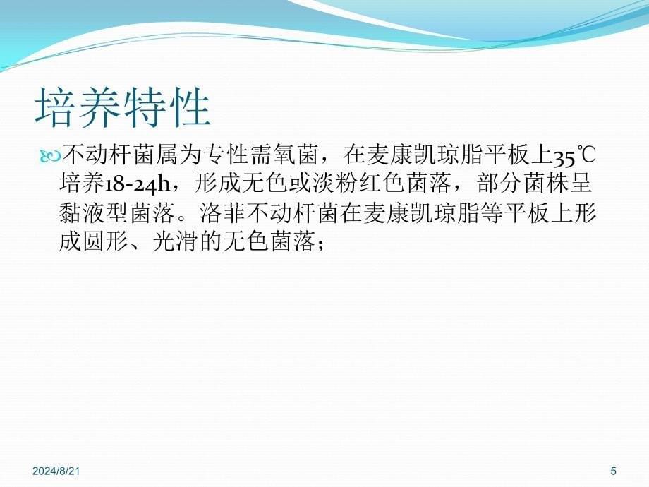 不动杆菌属PPT课件.ppt_第5页