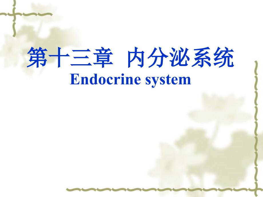 组织学与胚胎学：第13章 内分泌系统Endocrine system_第1页